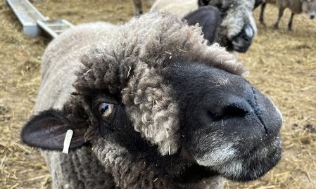 Pre Winter Service, Saturday 21st October 2023